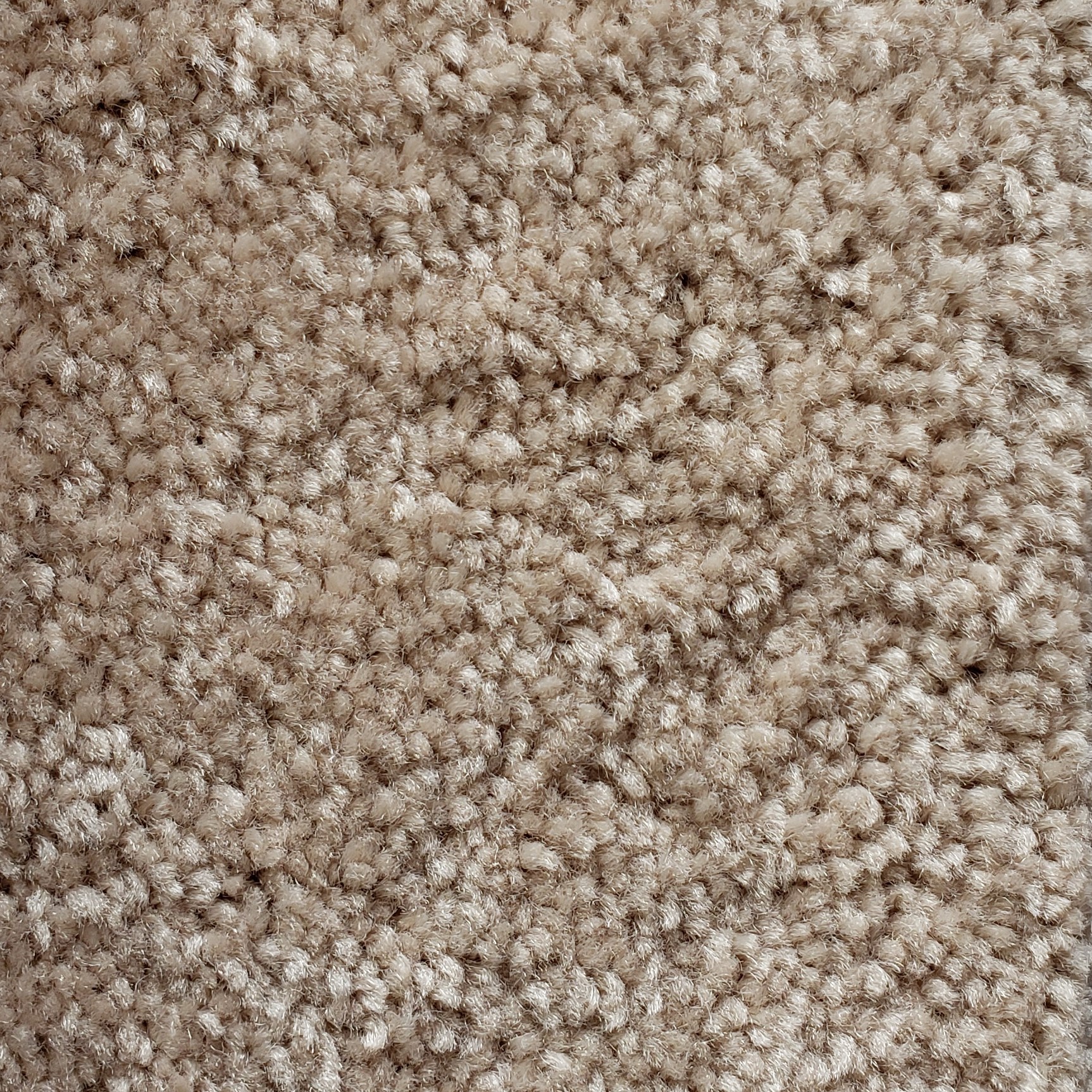 Carpet | Floortrends