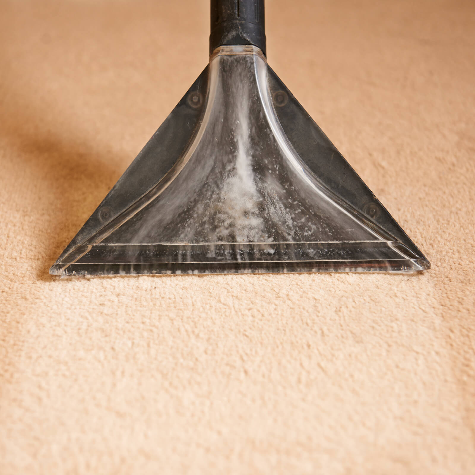 Carpet cleaning | Floor Trends